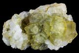 Lustrous, Yellow, Cubic Fluorite Crystal Cluster - Morocco #104603-1